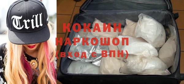 сатива Аркадак