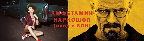 сатива Аркадак