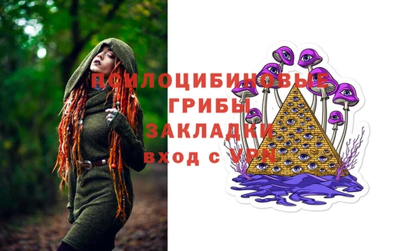 метадон Алексин